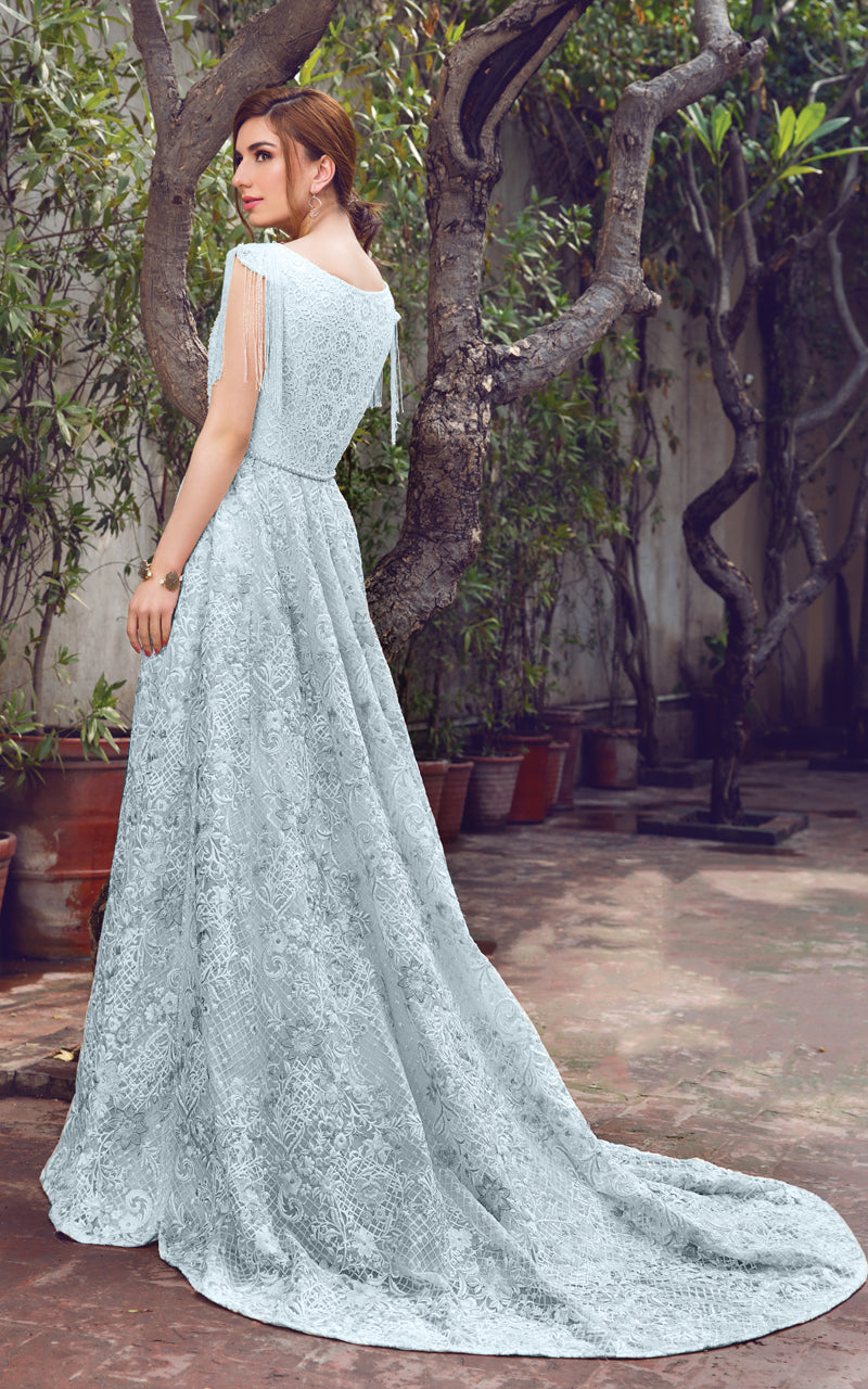 Organza Embroidered Dress