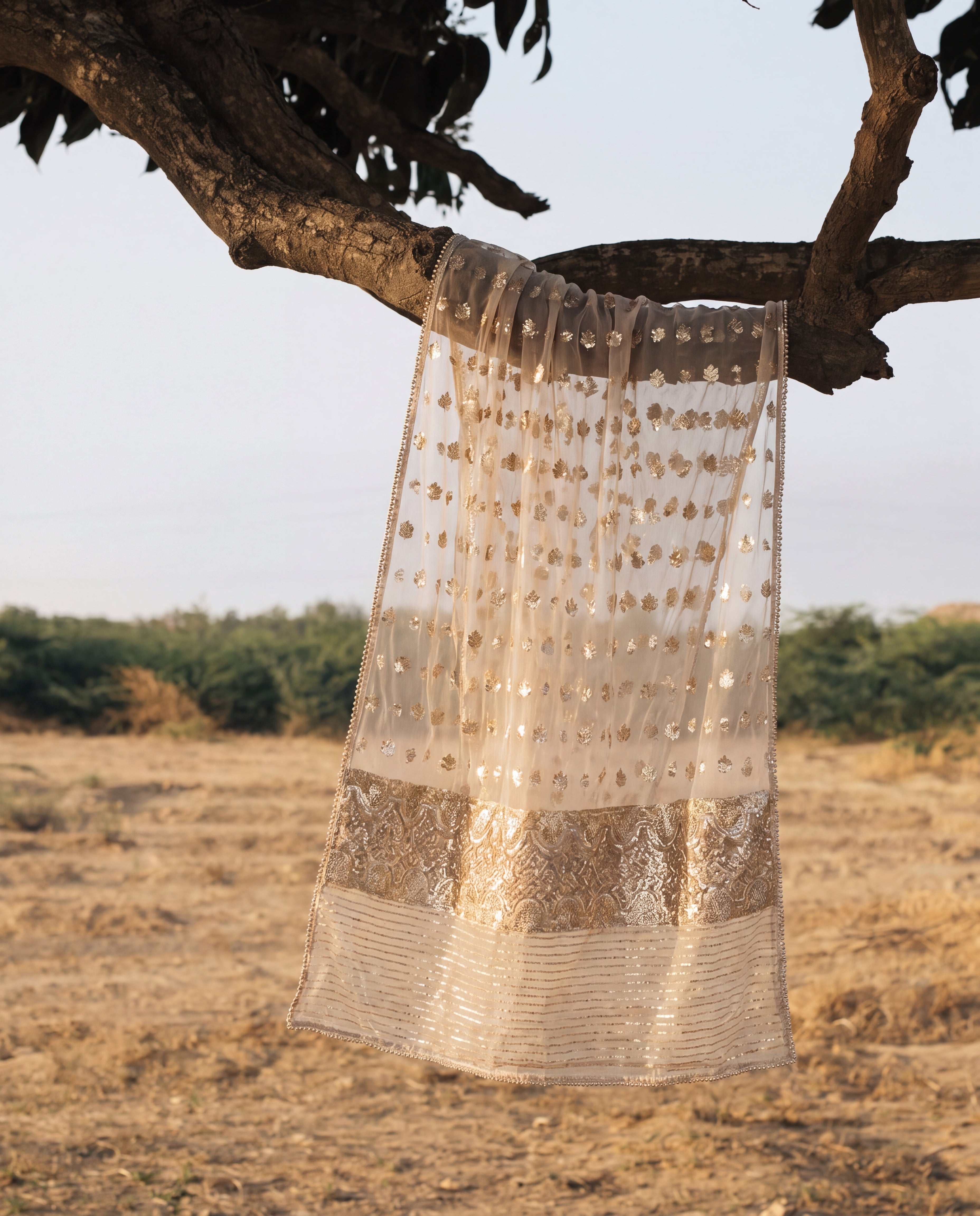 Festive Banarsi Dupatta