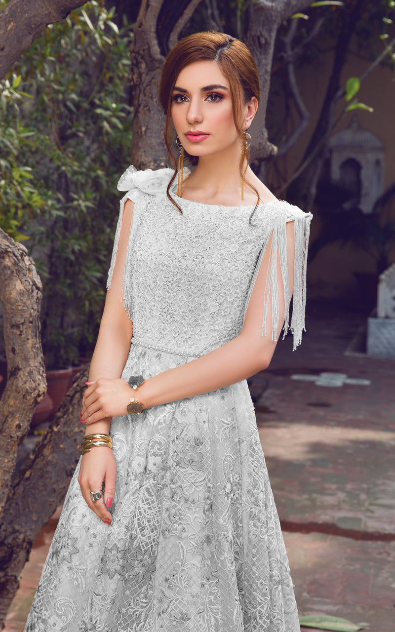 Organza Embroidered Dress