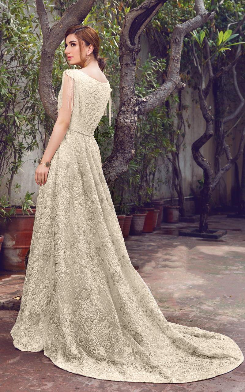 Organza Embroidered Dress