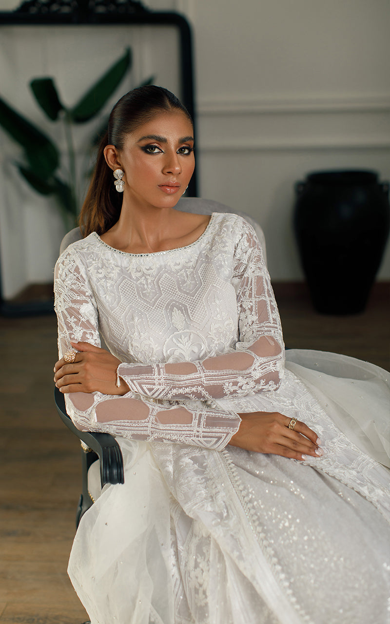 NET EMBROIDERED DRESS Threads & Motifs NET EMBROIDERED DRESS Threads & Motifs
