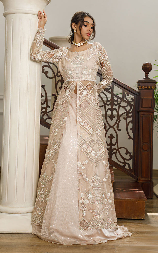 Organza Embroidered Dress With Skirt