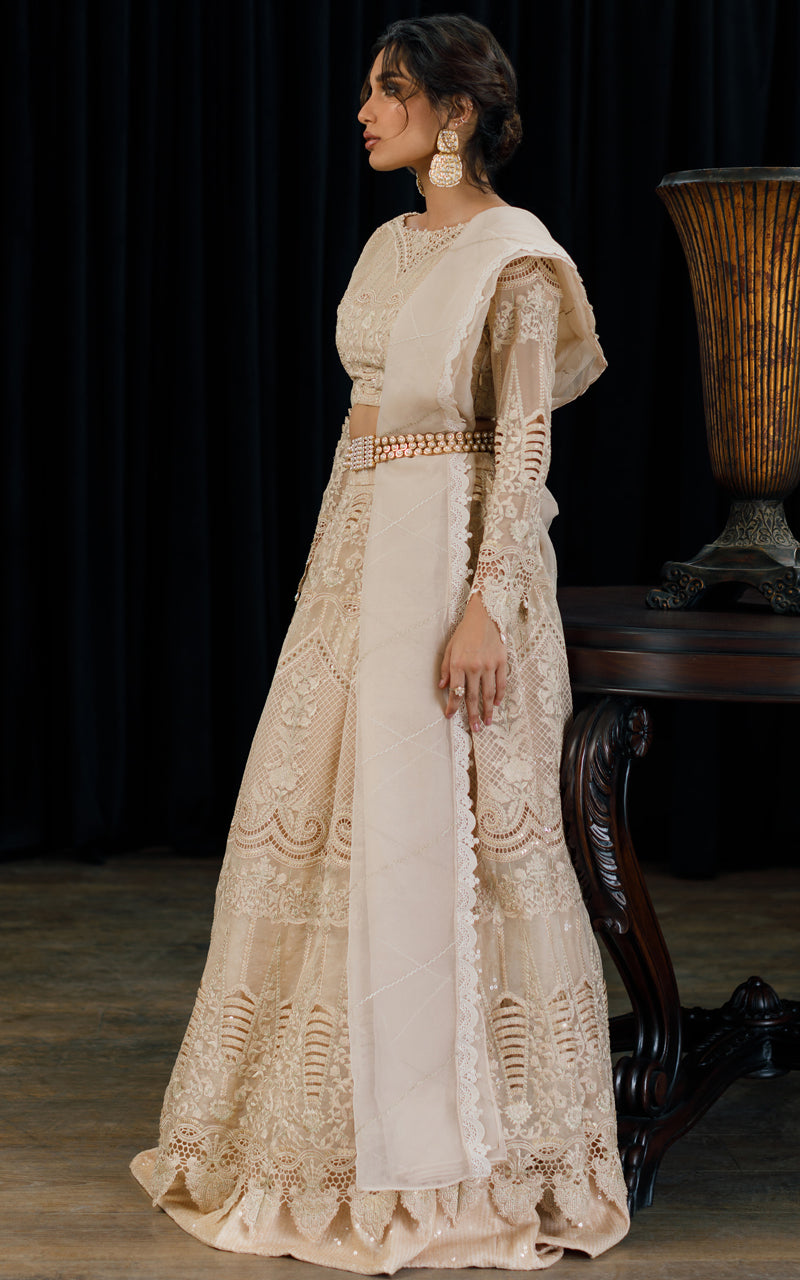 Organza Embroidered Blouse And Skirt
