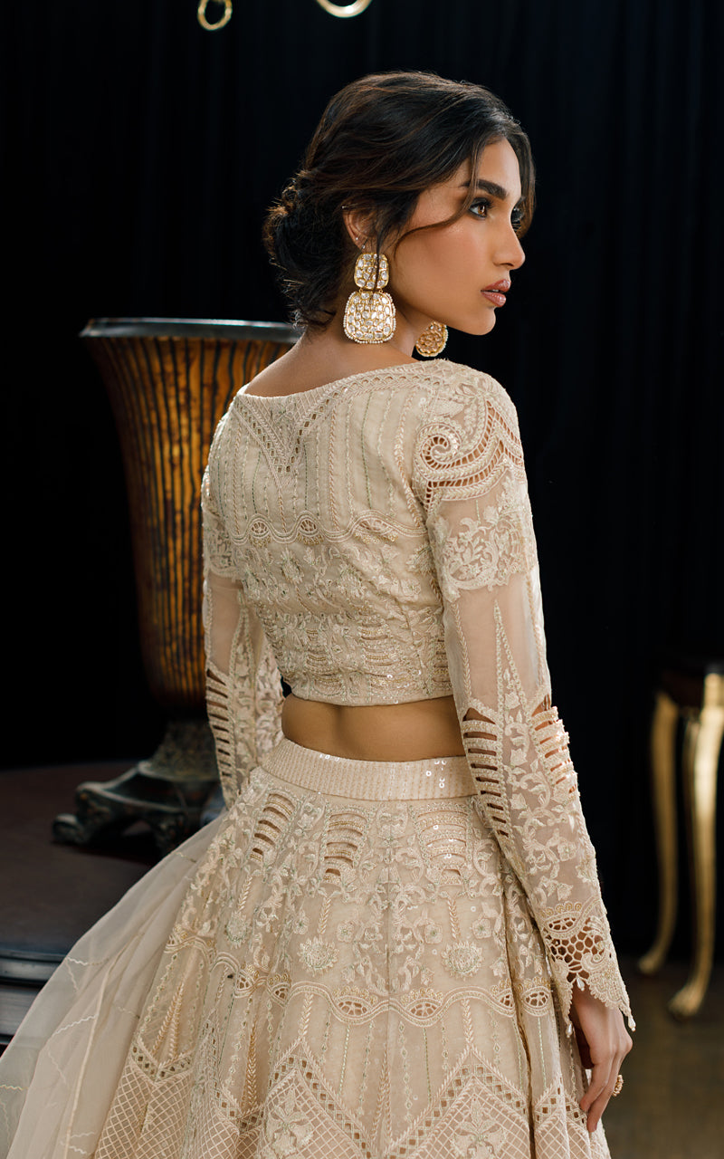Unstitched Organza Embroidered Blouse And Skirt