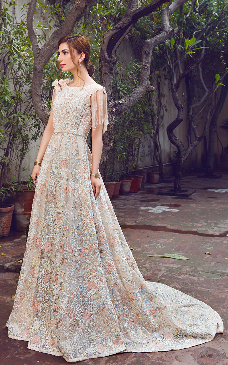 Organza Embroidered Dress