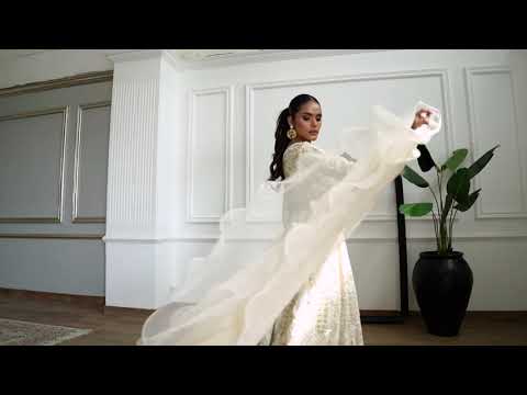 Chiffon Handwork Embroidered Dress With Skirt