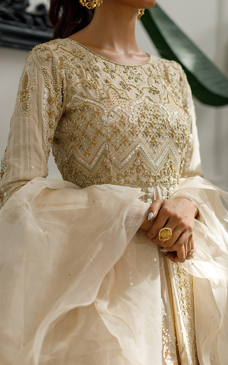 Chiffon Handwork Embroidered Dress With Skirt