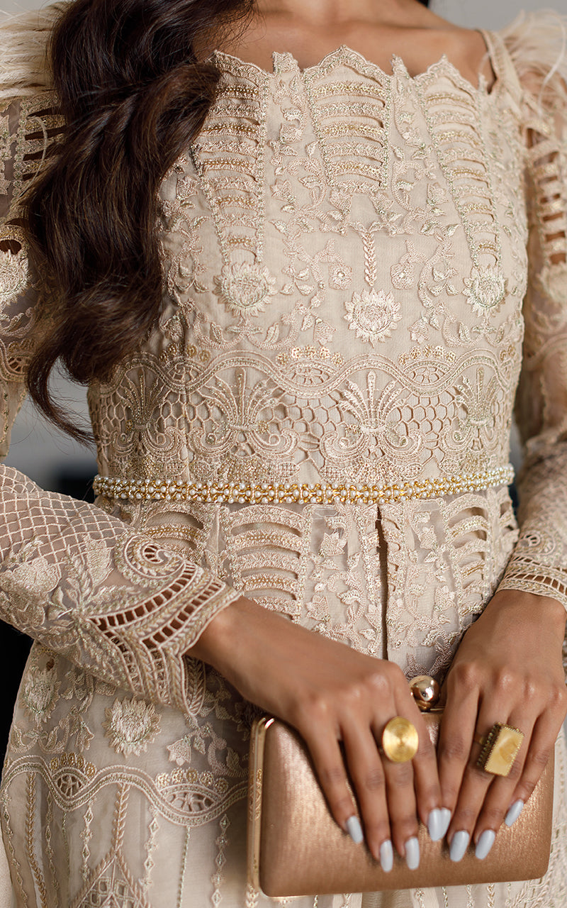 Organza Embroidered Dress
