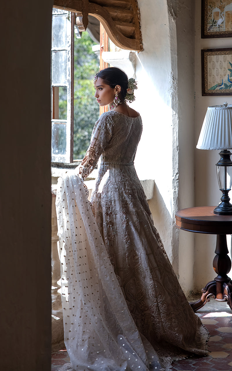 Organza Embroidered Dress