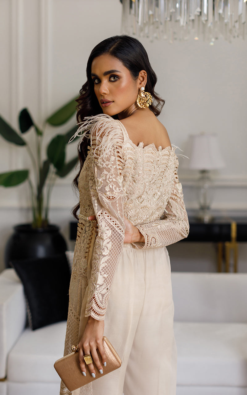 Organza Embroidered Dress
