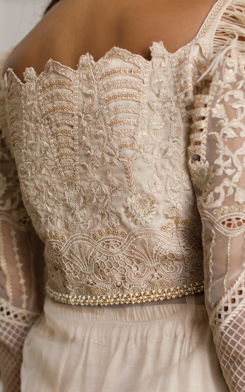 Organza Embroidered Dress