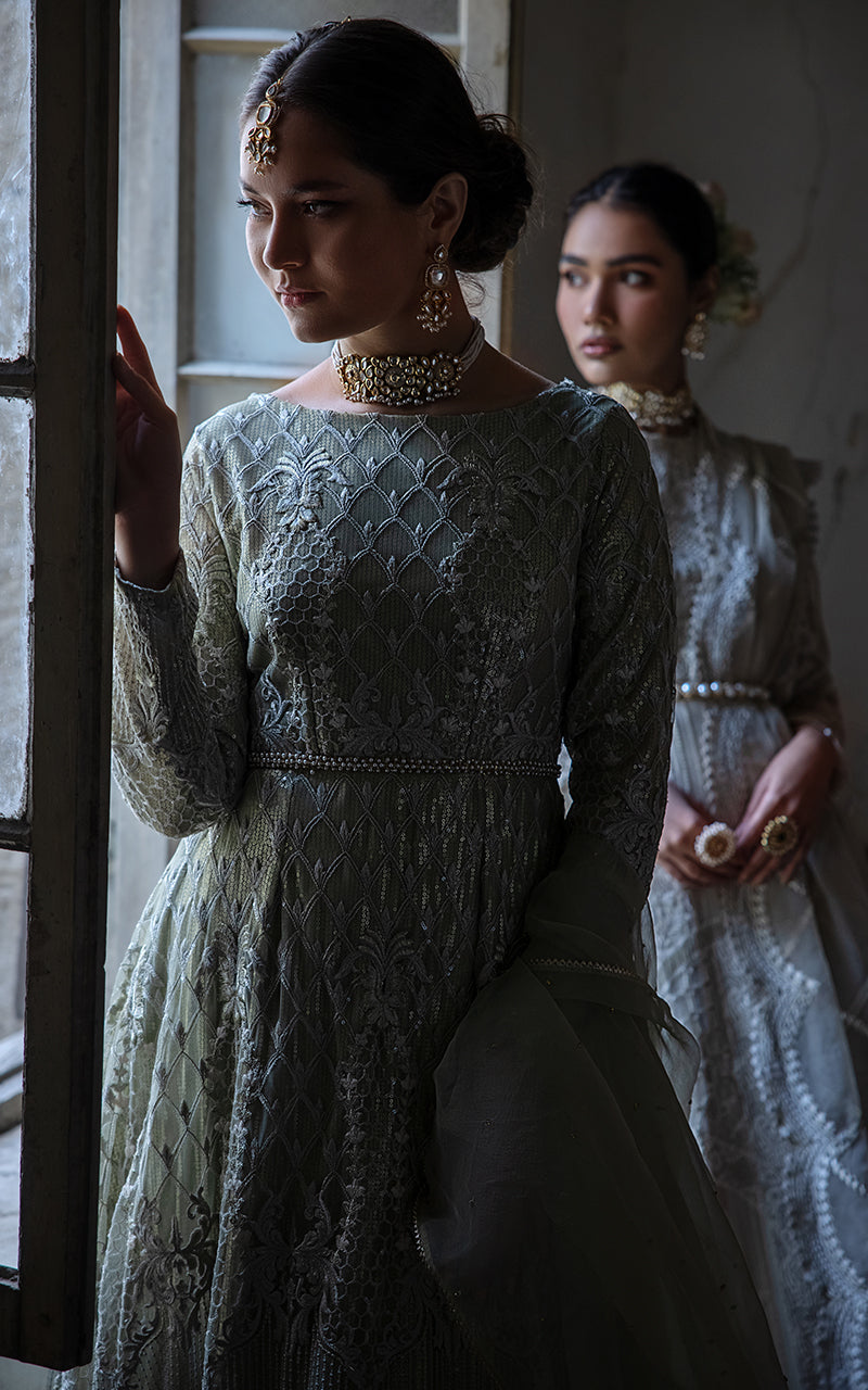 Net Embroidered Dress