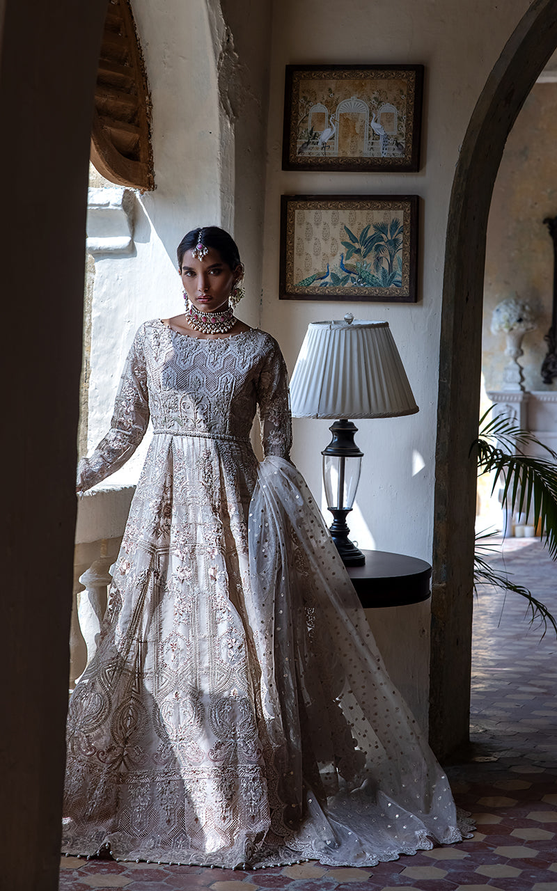 Organza Embroidered Dress