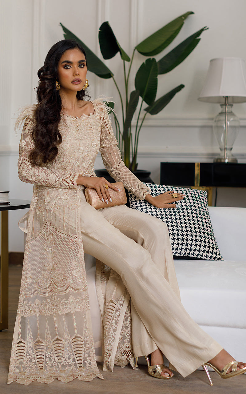 Organza Embroidered Dress