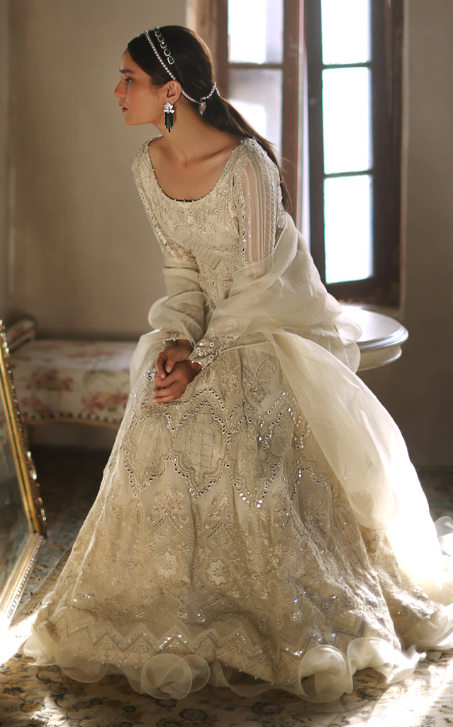 Chiffon Embroidered Dress With Skirt